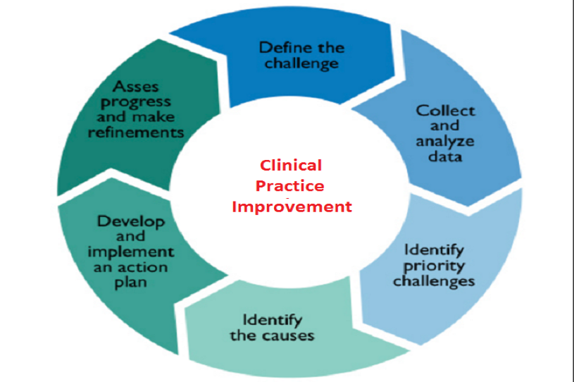 Clinical Practice Improvement 1.0 CME